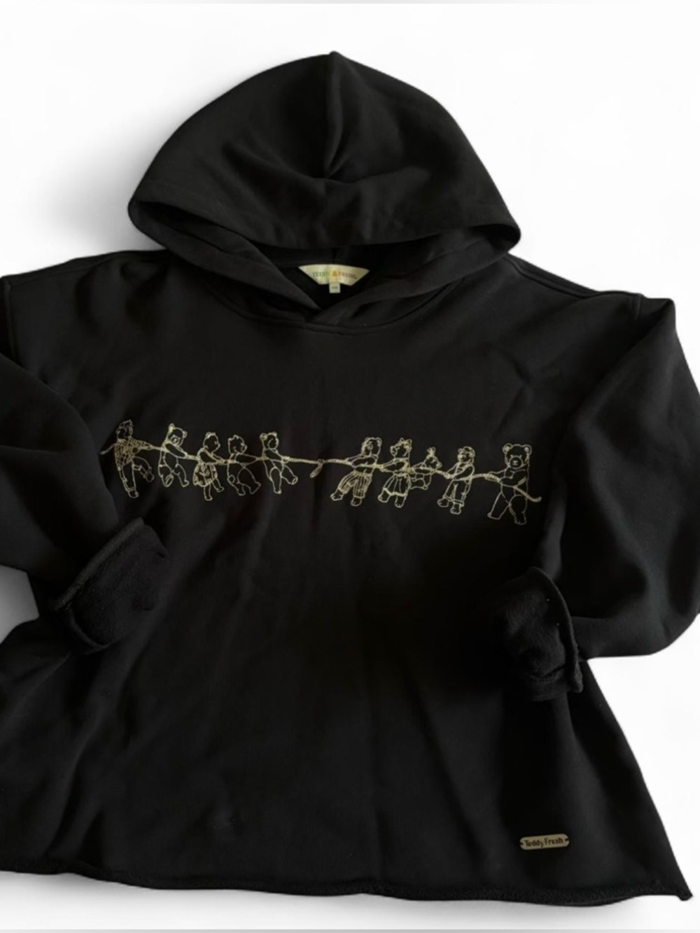 Teddy Fresh Embroidered Bear Hoodie